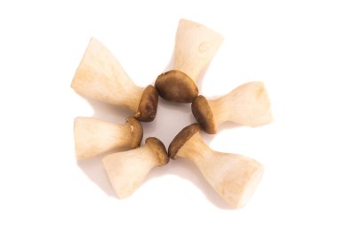 Beyaz arka planda Kral istiridye mantarı Pleurotus eryngii