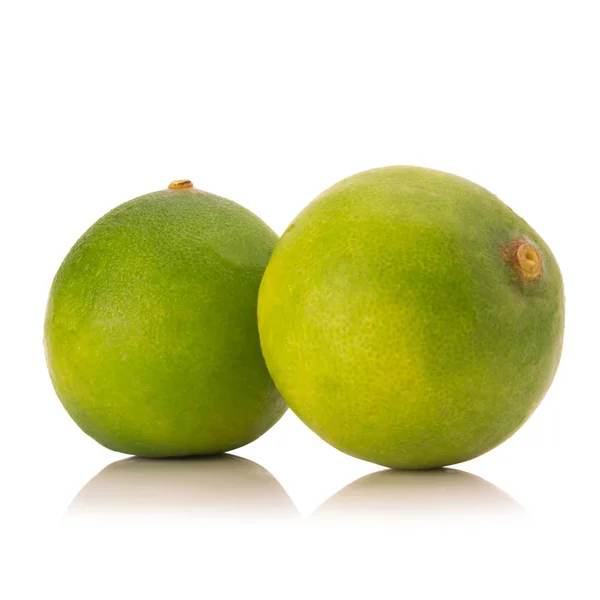 Limes  isolated on white background — Stock Photo, Image