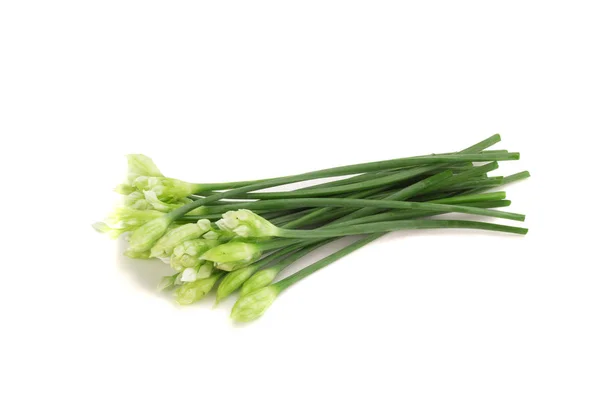 Erba cipollina fiore o erba cipollina cinese isolato su sfondo bianco — Foto Stock