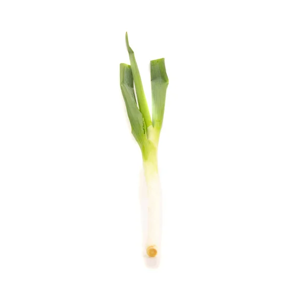 Πράσινο ιαπωνικό κρεμμυδάκι σε λευκό φόντο — Φωτογραφία Αρχείου
