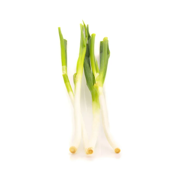Green Japanese Bunching Onion on White Background — Stock Photo, Image