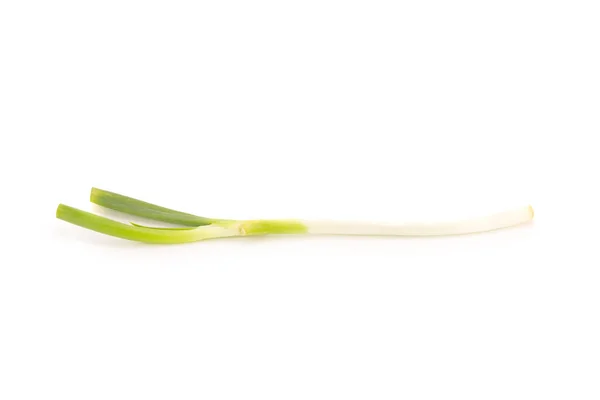 Green Japanese Bunching Onion on White Background — Stock Photo, Image