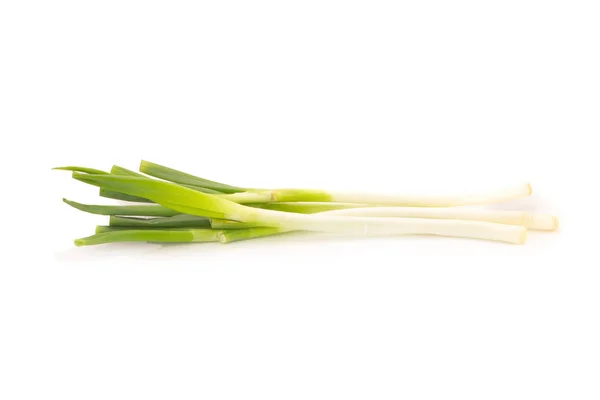 Verde Japonés Bunching Cebolla sobre fondo blanco — Foto de Stock