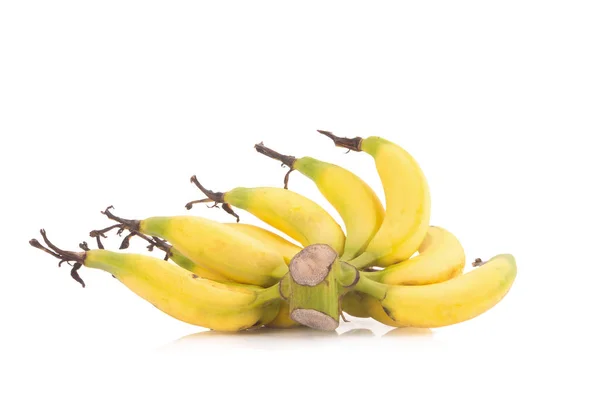 Lebmuernang banaan geïsoleerd op witte achtergrond — Stockfoto