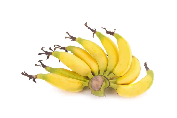 Lebmuernang banaan geïsoleerd op witte achtergrond — Stockfoto