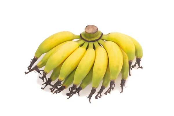 Lebmuernang banaan geïsoleerd op witte achtergrond — Stockfoto