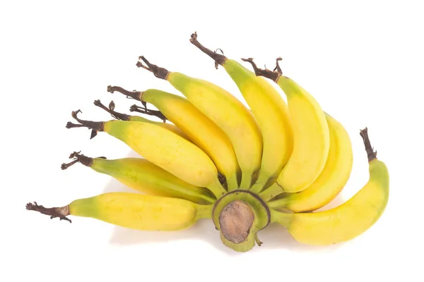 Lebmuernang banaan geïsoleerd op witte achtergrond — Stockfoto