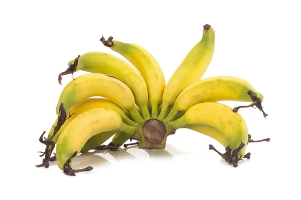 Lebmuernang banaan geïsoleerd op witte achtergrond — Stockfoto