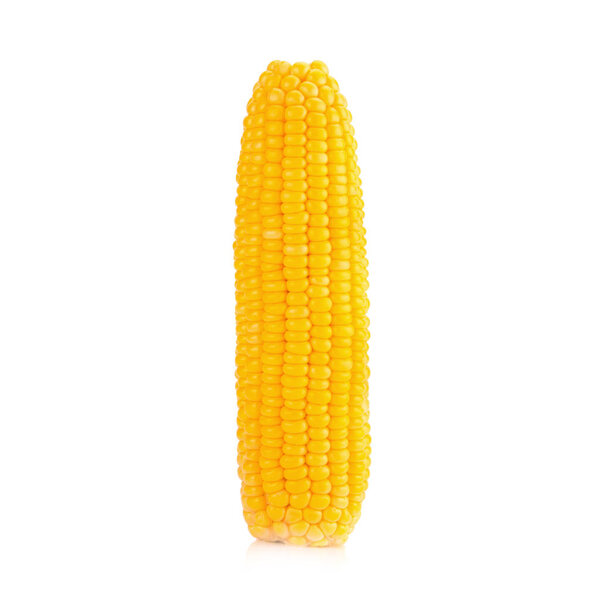 Corn on white background