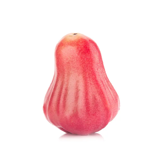 Rose apple isolated on the white background — Stock Photo, Image