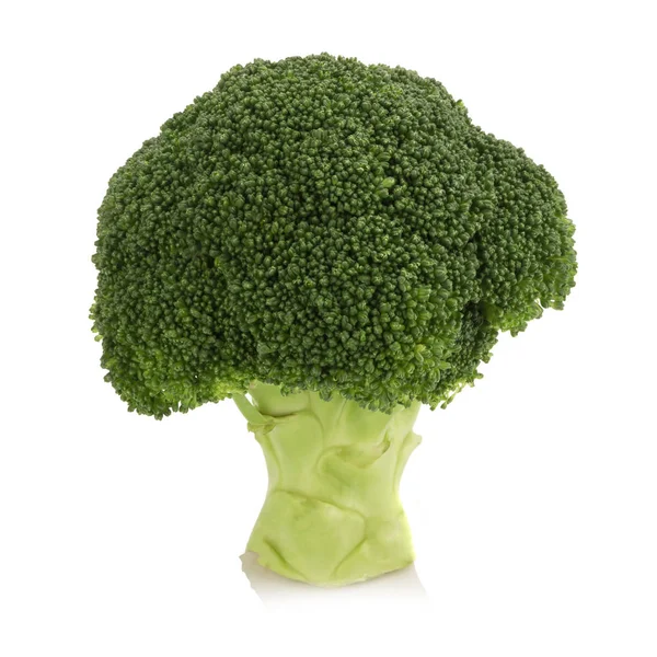 Čerstvé brokolice izolované na bílém pozadí — Stock fotografie