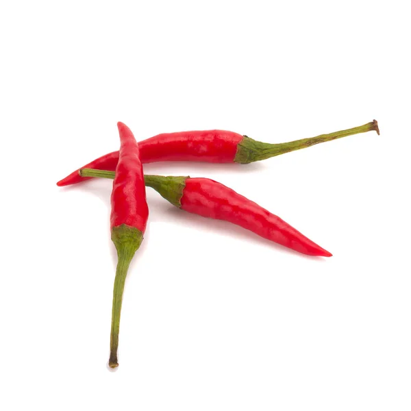 Chili paprika izolált fehér alapon — Stock Fotó