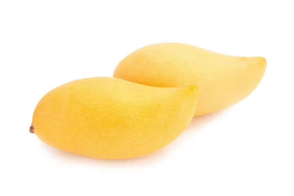 Mango geïsoleerd geen witte achtergrond — Stockfoto