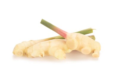 Beyaz arka plan üzerinde izole genç taze zencefil