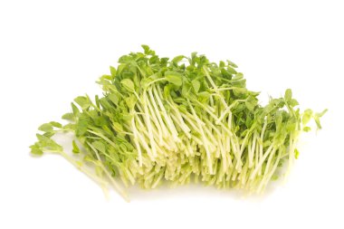 Bezelye izole üzerinde beyaz arka plan lahanası