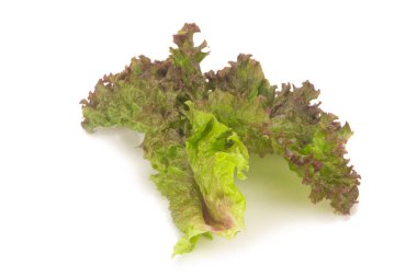 Beyaz arka plan üzerinde izole kırmızı mercan salata