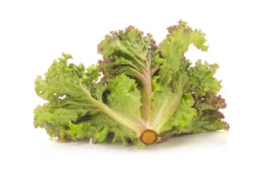 Beyaz arka plan üzerinde izole kırmızı mercan salata