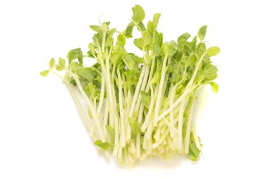 Bezelye izole üzerinde beyaz arka plan lahanası