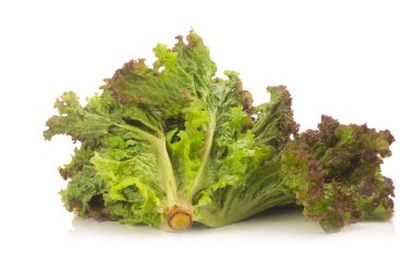 Beyaz arka plan üzerinde izole kırmızı mercan salata