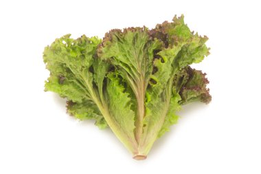 Beyaz arka plan üzerinde izole kırmızı mercan salata