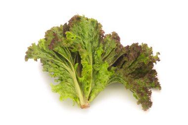 Beyaz arka plan üzerinde izole kırmızı mercan salata