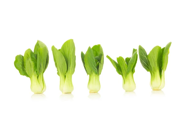 白い背景に隔離されたブックチョイ野菜 — ストック写真