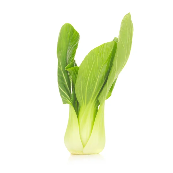 白い背景に隔離されたブックチョイ野菜 — ストック写真