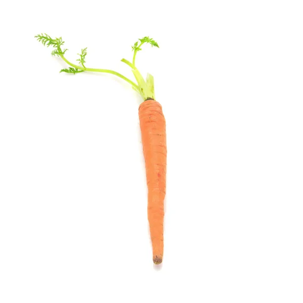 Дитяча морква ізольована на білому тлі — стокове фото