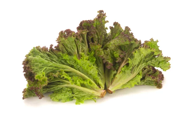 Beyaz arka plan üzerinde izole kırmızı mercan salata