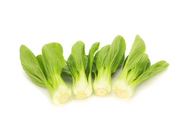 Bok choy növényi izolált fehér alapon — Stock Fotó