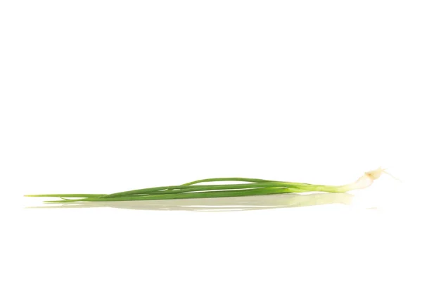 Zelená cibule/jarní cibulkou izolovaných na bílém pozadí — Stock fotografie