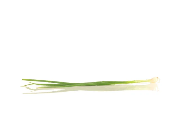 Bawang hijau / bawang musim semi diisolasi pada latar belakang putih — Stok Foto