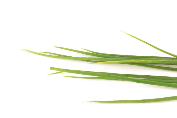 Cebolla verde / Cebolla de primavera aislada sobre el fondo blanco — Foto de Stock