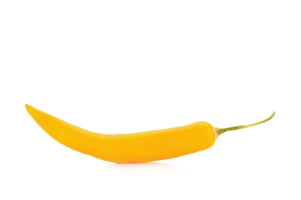 Chili peper geel / oranje geïsoleerd op een witte achtergrond — Stockfoto