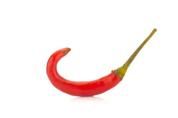 Chili peper rode geïsoleerd op een witte achtergrond — Stockfoto