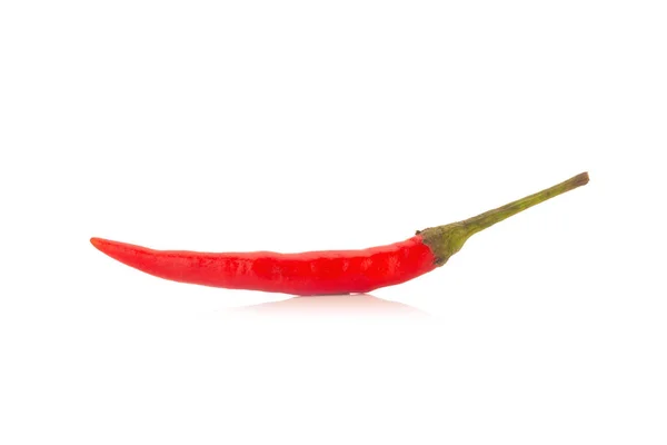 Chili paprika piros elszigetelt fehér background — Stock Fotó