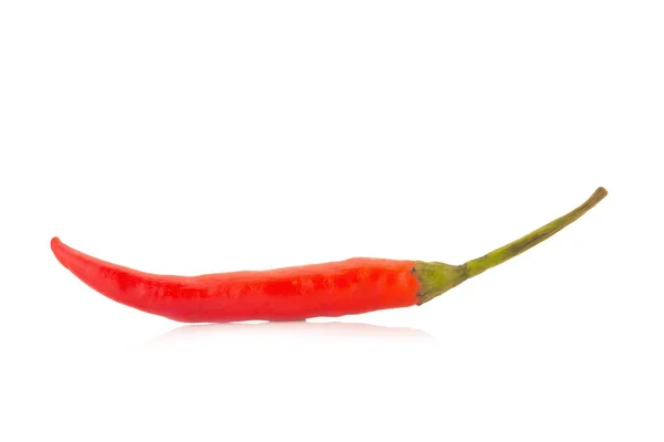 Papryka chili czerwony na białym tle na białym tle — Zdjęcie stockowe