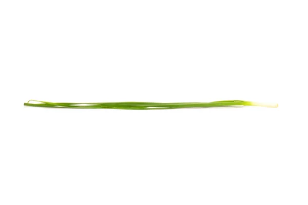 Asian chives (leek) isolated on white background — Stock Photo, Image