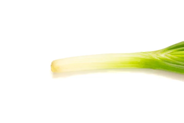 Ázsiai metélőhagyma (leek) elszigetelt fehér background — Stock Fotó