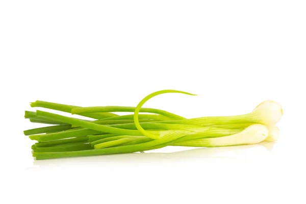 Spring onion isolated on the white background — Stock Photo, Image