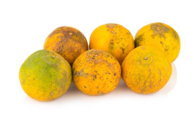 Turuncu. çürümüş. kirli. altı. Beyaz arka plan üzerinde izole