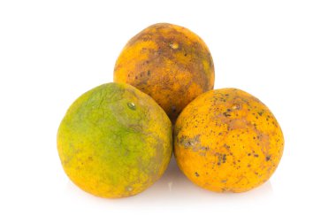 Turuncu. çürümüş. kirli. 3. Beyaz arka plan üzerinde izole