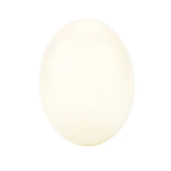 White egg isolated on white background — Stock Photo, Image