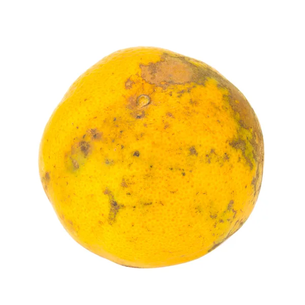 Naranja. podrido. sucio. aislado sobre fondo blanco — Foto de Stock