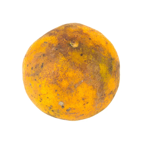 Orange. rotten. dirty. isolated on white background — Stock Photo, Image