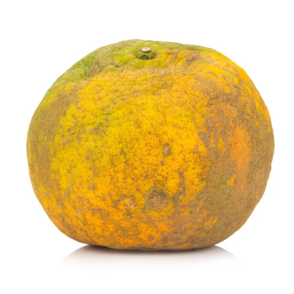 Naranja. podrido. sucio. aislado sobre fondo blanco — Foto de Stock