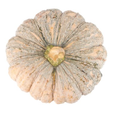 Beyaz arkaplanda kabak izole