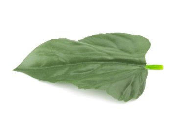 sahte yaprak beyaz arka plan üzerinde izole