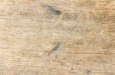 eski ahşap doku ağaç doğa