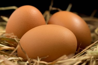 yumurta. saman. ahşap üzerine. siyah arka plan